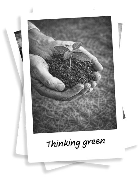 Thinking Green